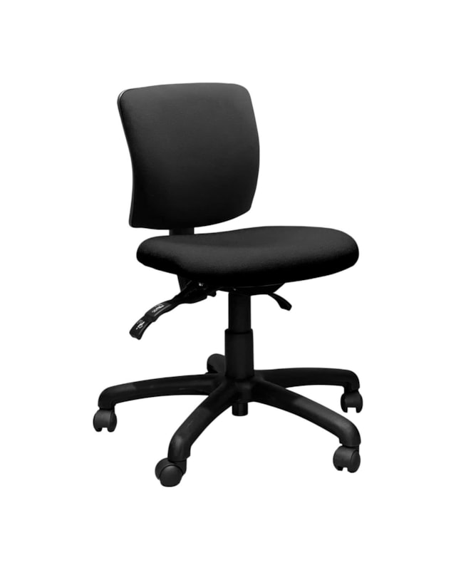Petite FormFit Ergonomic Office Chair